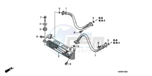 TRX250TEA Australia - (U / EC) drawing OIL COOLER