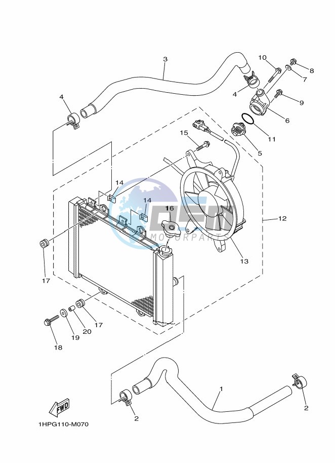 RADIATOR & HOSE