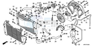 CB1000RA Europe Direct - (ED) drawing RADIATOR