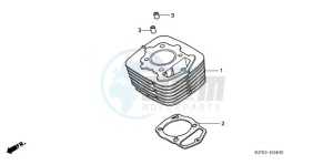 CRF230F9 Europe Direct - (ED / CMF) drawing CYLINDER