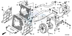 TRX420FMD TRX420 Europe Direct - (ED) drawing RADIATOR