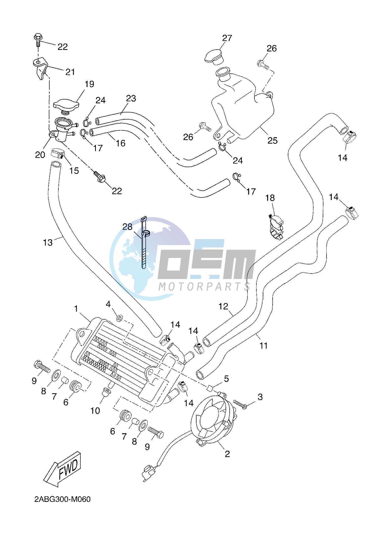 RADIATOR & HOSE