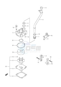 DF 60 drawing Water Pump