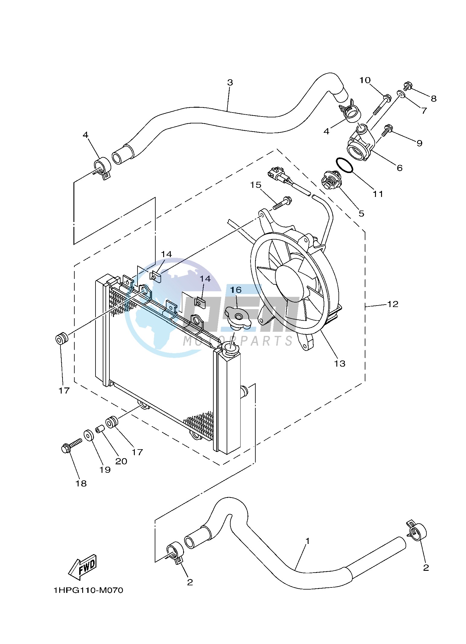 RADIATOR & HOSE