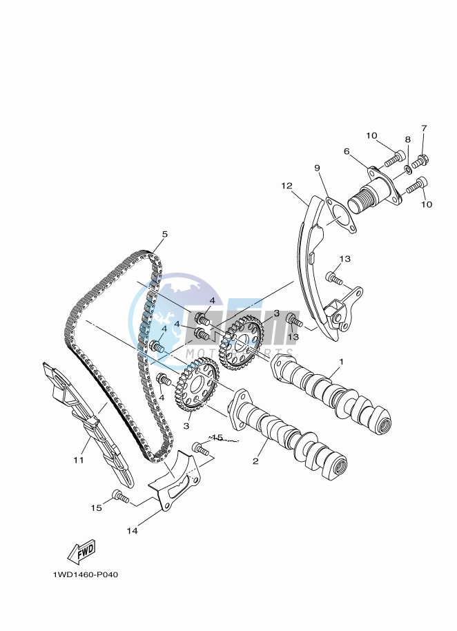 CAMSHAFT & CHAIN