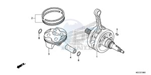 CRF150RBD CRF150RB Europe Direct - (ED) drawing CRANKSHAFT/PISTON