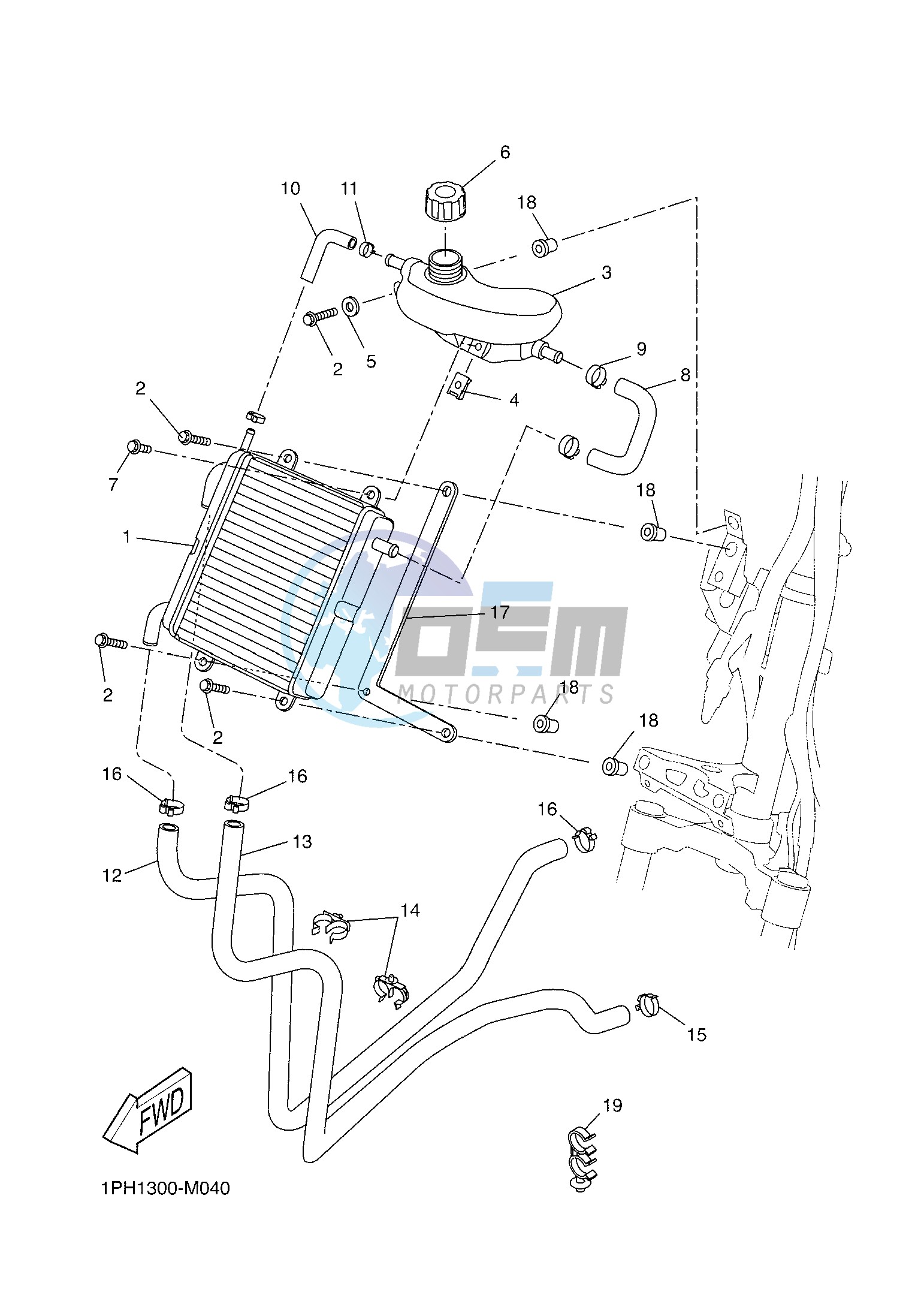 RADIATOR & HOSE