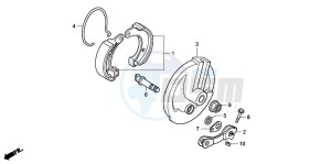 CRF50F drawing FRONT BRAKE PANEL