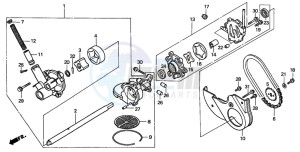 GL1500C drawing OIL PUMP