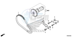 TRX500FM5G TRX500FM Australia - (U) drawing CAM CHAIN/TENSIONER