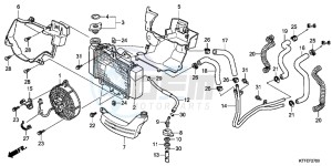 SH125RC drawing RADIATOR