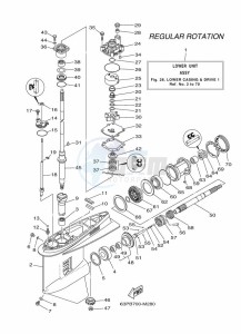 F150BETX drawing PROPELLER-HOUSING-AND-TRANSMISSION-1