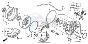 TRX420TMA Europe Direct - (ED / 2WD) drawing REAR BRAKE PANEL