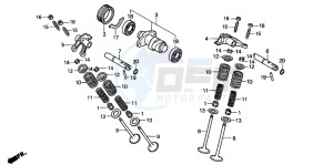 TRX300EX SPORTRAX 300EX drawing CAMSHAFT/VALVE