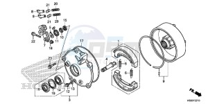 TRX250TMG TRX420 Europe Direct - (ED) drawing REAR BRAKE DRUM