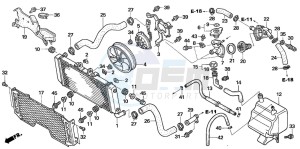 CB1300SA CB1300SUPERBOLD'OR drawing RADIATOR (CB1300A/SA)