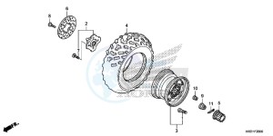 TRX420FM2H Europe Direct - (ED) drawing FRONT WHEEL