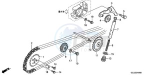 CRF50F9 Australia - (U) drawing CAM CHAIN/TENSIONER