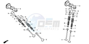 CBF250 drawing CAMSHAFT/VALVE