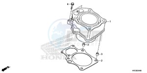 TRX420FM1E TRX420 Europe Direct - (ED) drawing CYLINDER