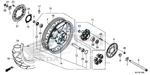 CRF1000DG CRF1000 - Africa Twin - Dual Clutch Europe Direct - (ED) drawing REAR WHEEL