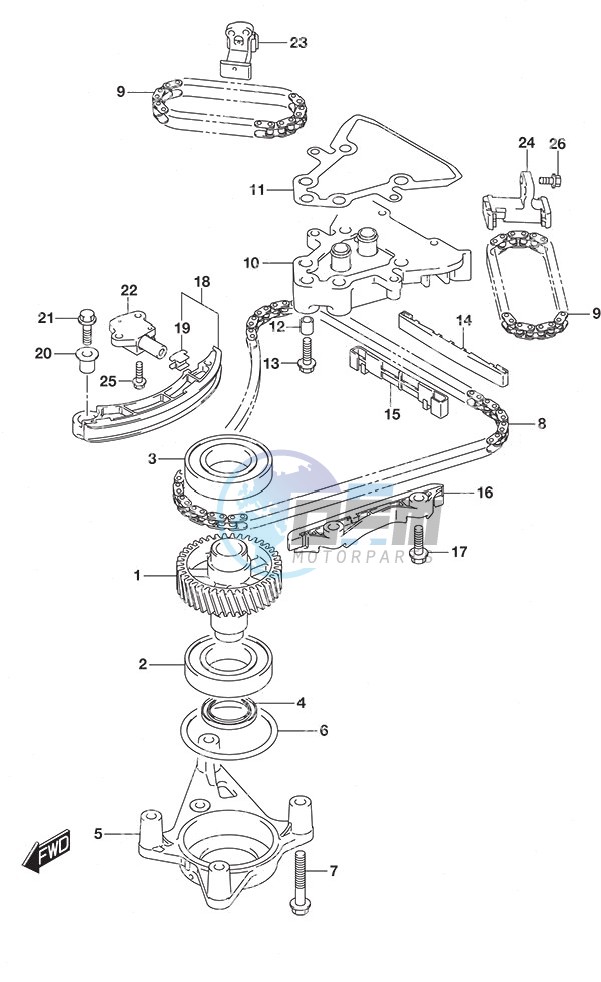 Timing Chain