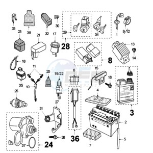 FOX LN BN drawing ELECTRIC PART WITHOUT PICKUP