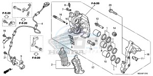 VFR1200XD Europe Direct - (ED) drawing R. FRONT BRAKE CALIPER