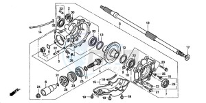 TRX450S drawing FINAL DRIVEN GEAR