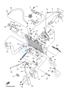 XJ6F 600 DIVERSION F (1CWG) drawing RADIATOR & HOSE