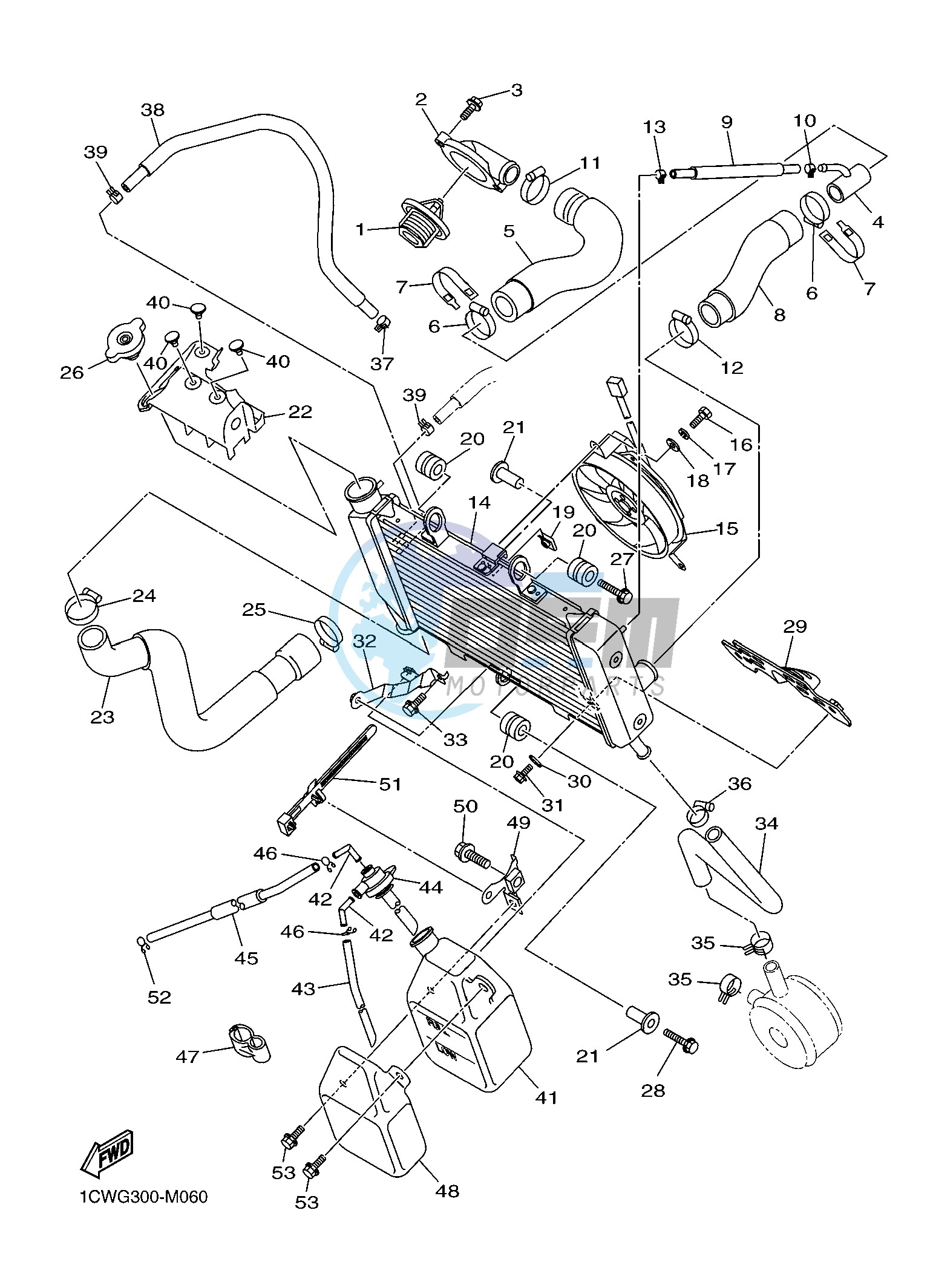 RADIATOR & HOSE