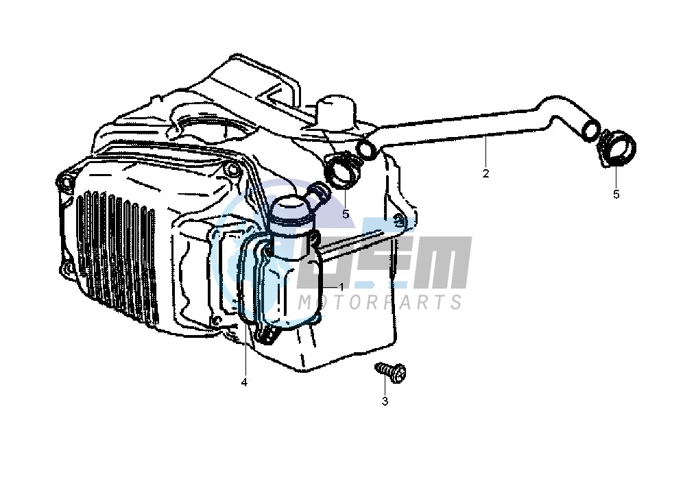 Oil drain valve