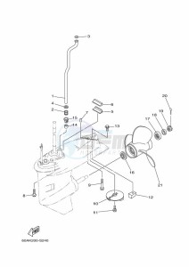 F50DET drawing PROPELLER-HOUSING-AND-TRANSMISSION-2