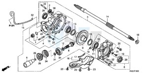 TRX500FPAD TRX500FPA ED drawing FINAL DRIVEN GEAR