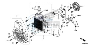 SH125AD SH125i UK - (E) drawing RADIATOR