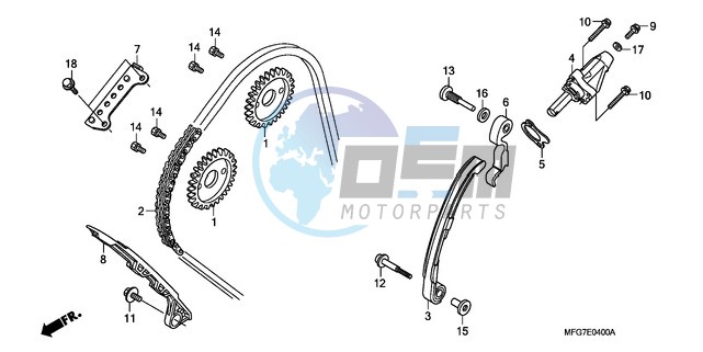 CAM CHAIN/TENSIONER