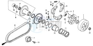 PK50M WALLAROO drawing CLUTCH/DRIVEN FACE