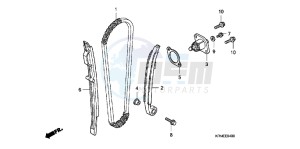 CRF250RD CRF250R Europe Direct - (ED) drawing CAM CHAIN/TENSIONER