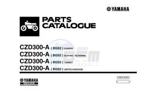 CZD300-A XMAX 300 (BGS2) drawing Infopage-1