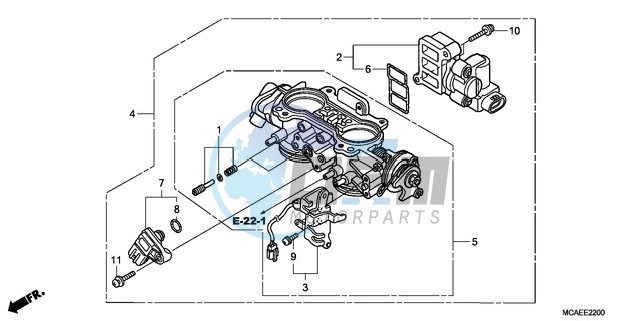 THROTTLE BODY