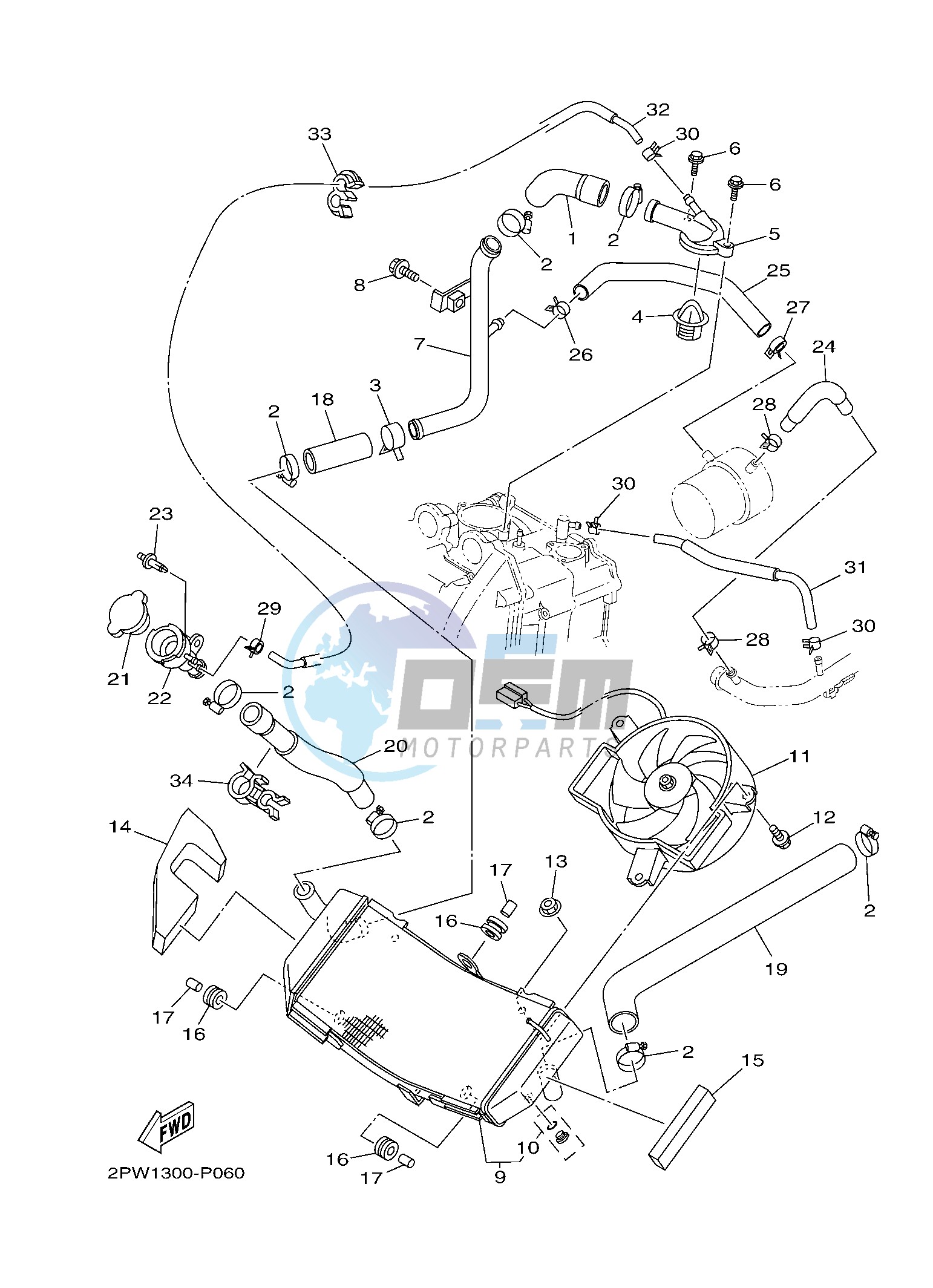 RADIATOR & HOSE