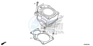 TRX500FM5H Europe Direct - (ED) drawing CYLINDER