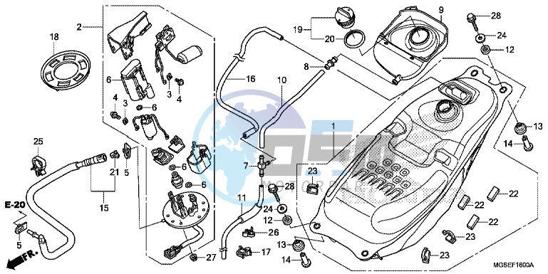 FUEL TANK/ FUEL PUMP