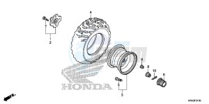 TRX500FM1F TRX500FM Europe Direct - (ED) drawing REAR WHEEL