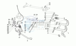 California 1100 Special Special drawing Stands