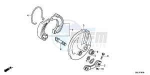 CRF50FC drawing FRONT BRAKE PANEL