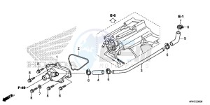 TRX500FM2G TRX500FM Europe Direct - (ED) drawing WATER PUMP COVER