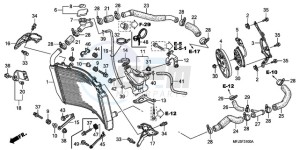 CBR600RR9 Europe Direct - (ED / MK) drawing RADIATOR