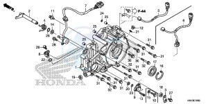 TRX500FM1E TRX500FM1 Europe Direct - (ED) drawing REAR CRANKCASE COVER