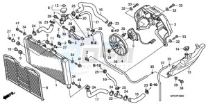 CB600F9 U / ABS ST drawing RADIATOR